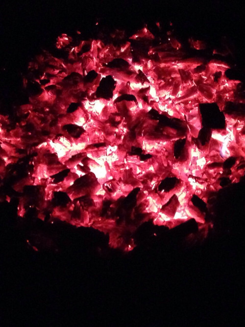 Die Natur folgt keinen Kategorien!