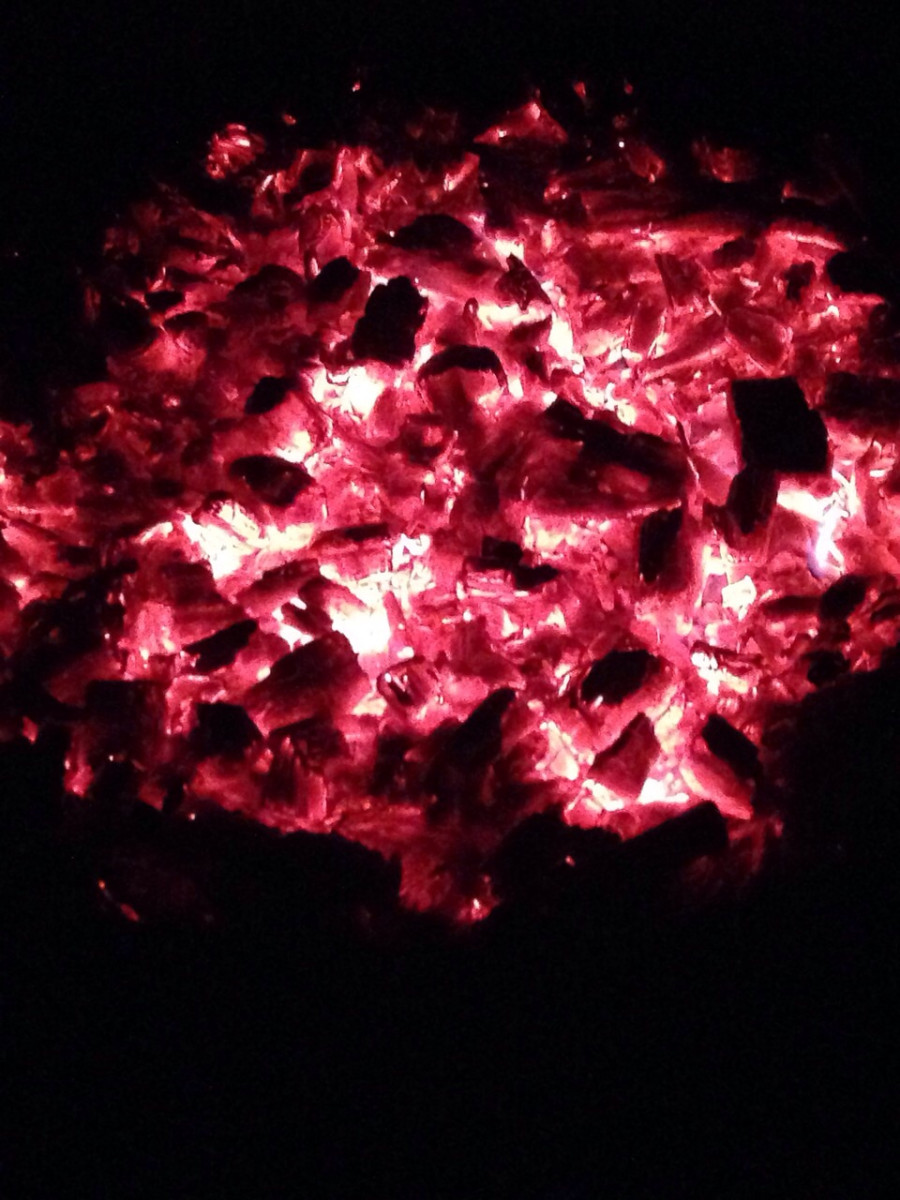 Die Natur folgt keinen Kategorien!