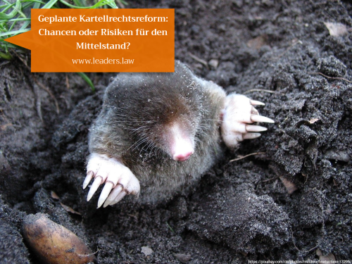 Geplante Kartellrechtsreform: Chancen oder Risiken f&uuml;r den Mittelstand?