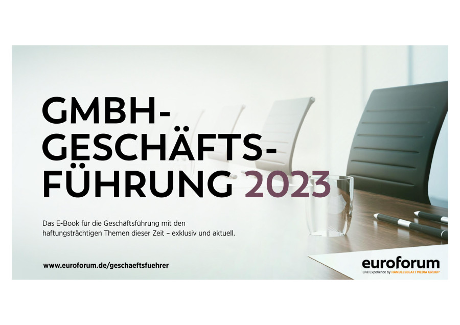 Haftungsgefahren f&uuml;r Gesch&auml;ftsf&uuml;hrer trotz Ressortzust&auml;ndigkeit