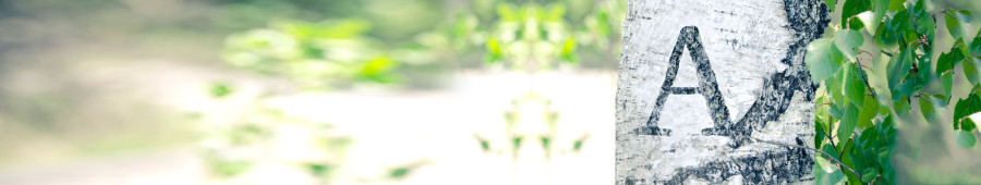 Immer schon: Kommanditgesellschaft ist weg und eigentlich jemand anderes