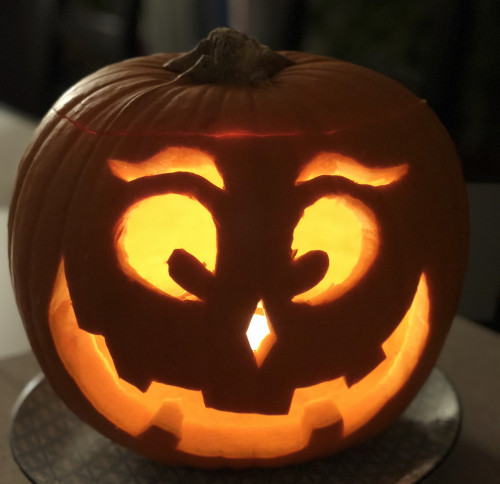 Minderheitsgesellschafter: Mittel der Interessendurchsetzung