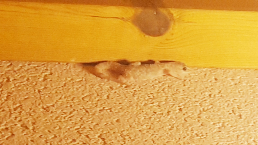 Nicht gleich erkennbar: Wenn der Vorstand die Aktiengesellschaft nicht vertreten darf, ...