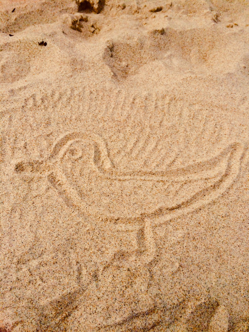 Pack die Badehose ein...