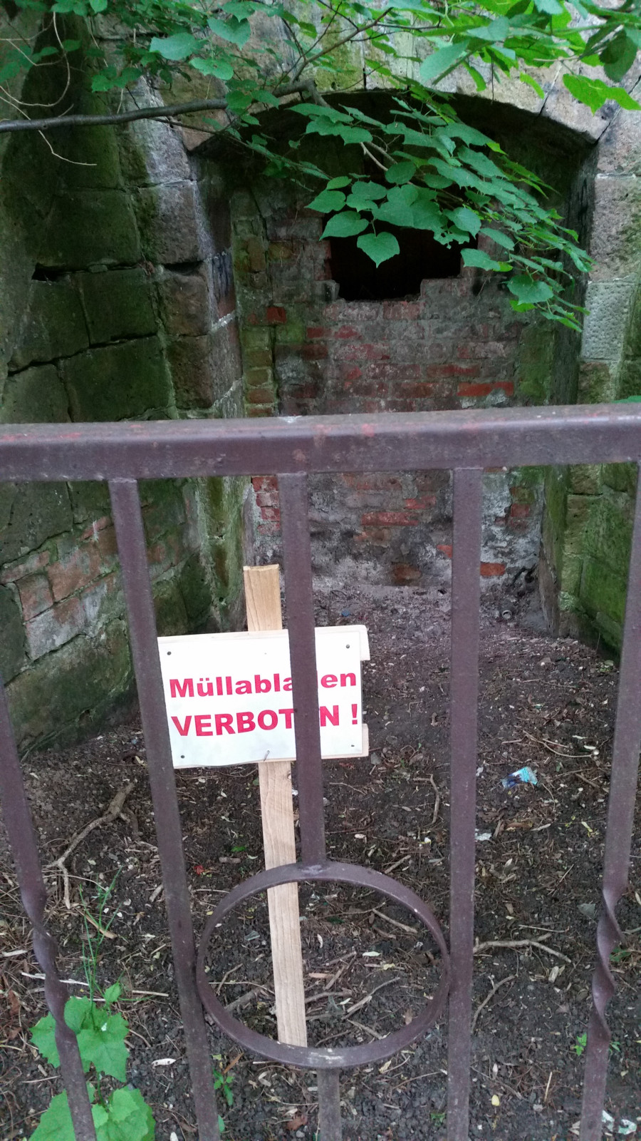 Selber schuld: Gesellschafterhaftung bei Verschmelzung insolventer GmbH