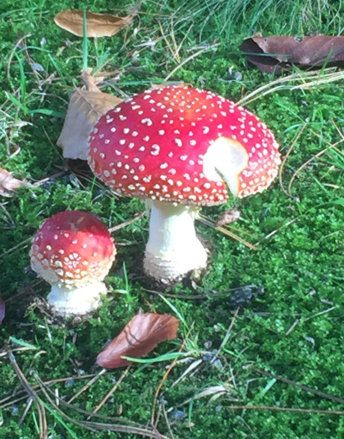 &Uuml;ber Geld spricht man nicht.