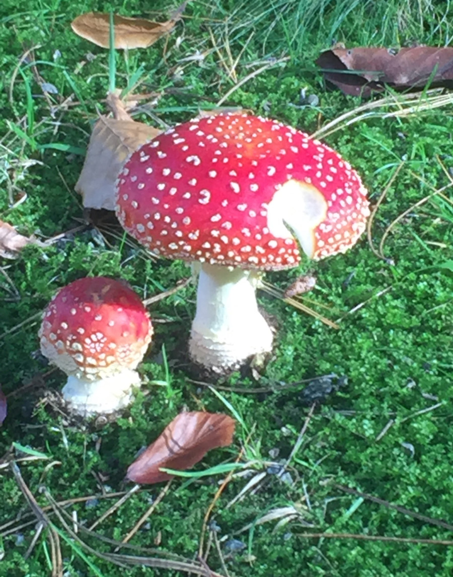 &Uuml;ber Geld spricht man nicht.