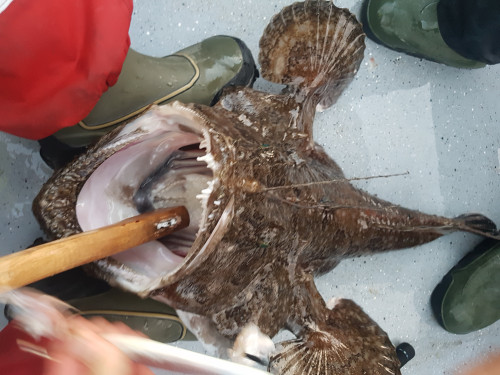 Und wenn ich geh, dann geht nur ein Teil von mir ...