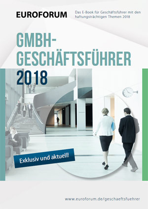 Unternehmenskrise &ndash; Management und professionelle Sanierung